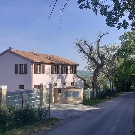 Onda * Senigália