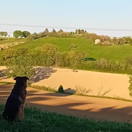 Onda * سينِغاليا